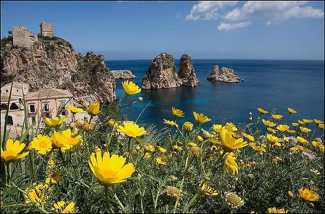 Iris Castellammare del Golfo